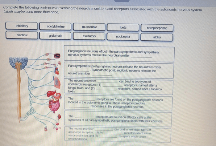 Complete the following sentences describing general information about tissues