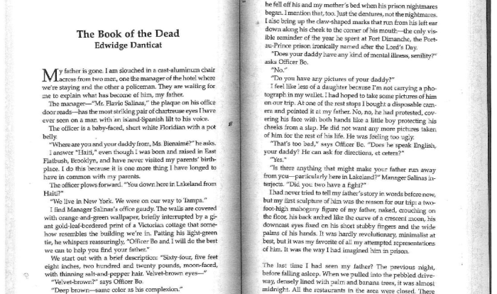 Summary of the book of the dead by edwidge danticat